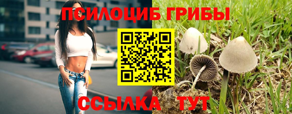 Псилоцибиновые грибы мицелий Серпухов