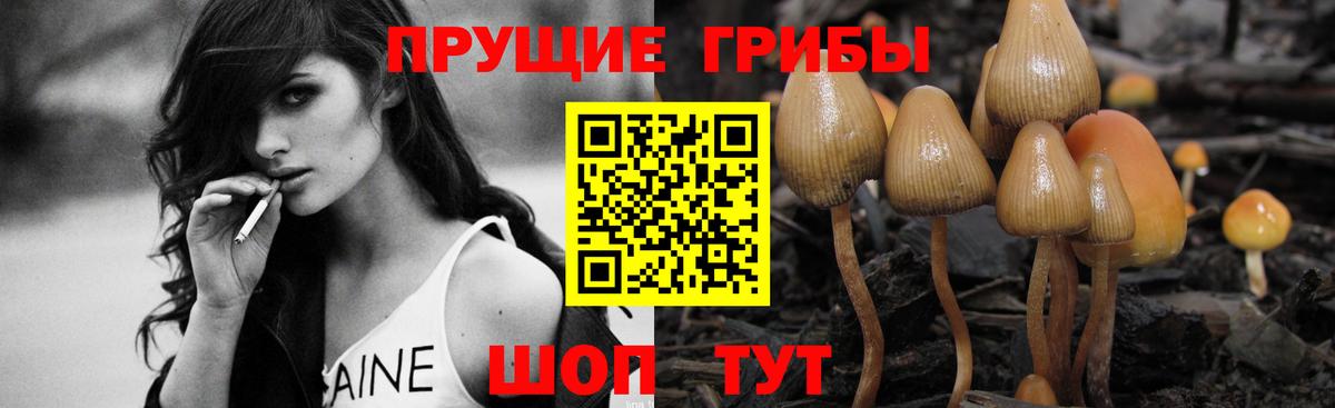 Серпухов  Галлюциногенные грибы GOLDEN TEACHER  Вход с VPN 